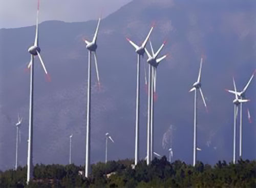 �S˹��˹��Palisade�ṩ�L(f��ng)늈�����耳׽�Q����